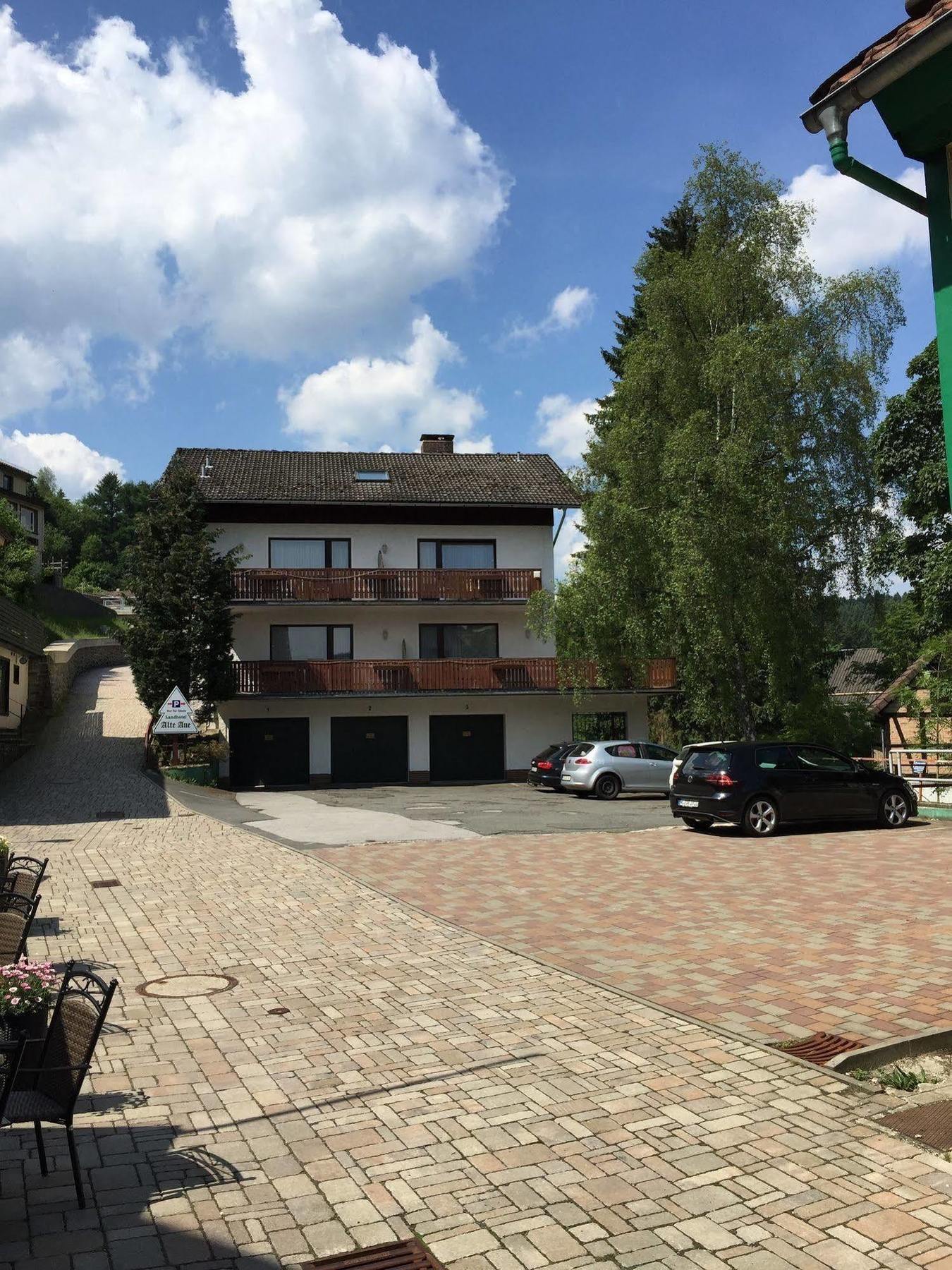 Landhotel Alte Aue Altenau  Exterior photo